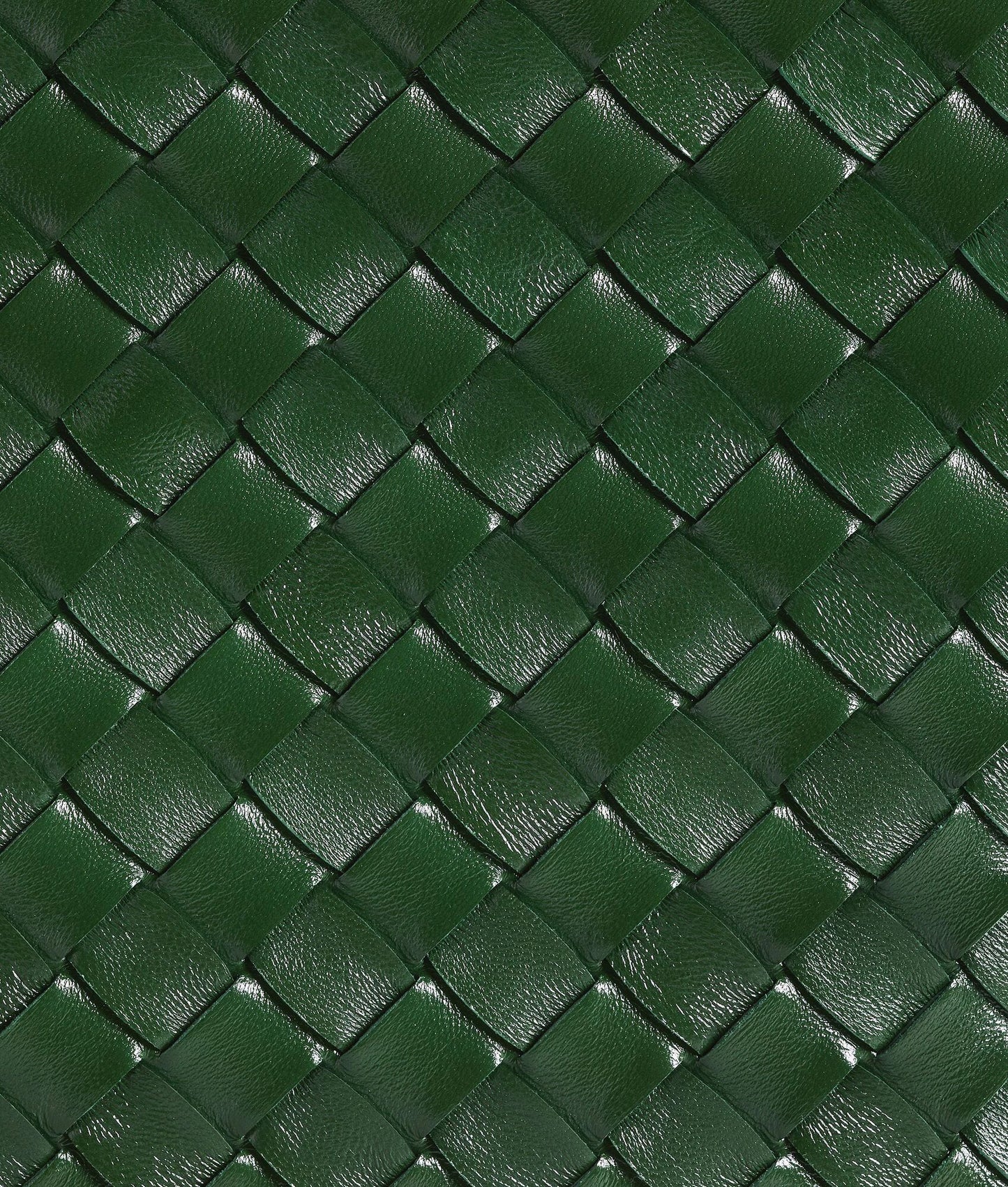 Bottega Veneta Andiamo Media – basil