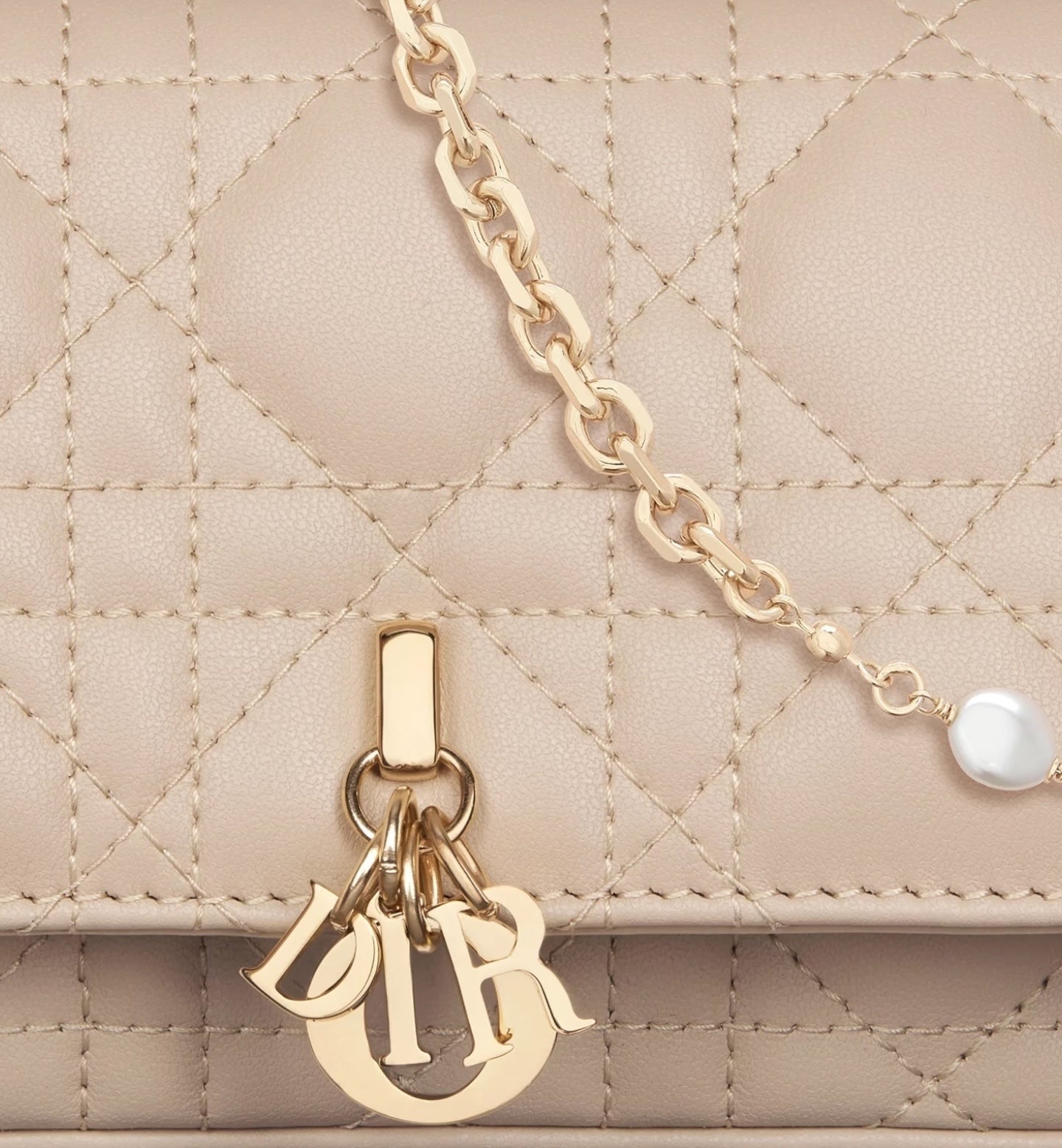 Dior Talk My Dior Pochette
