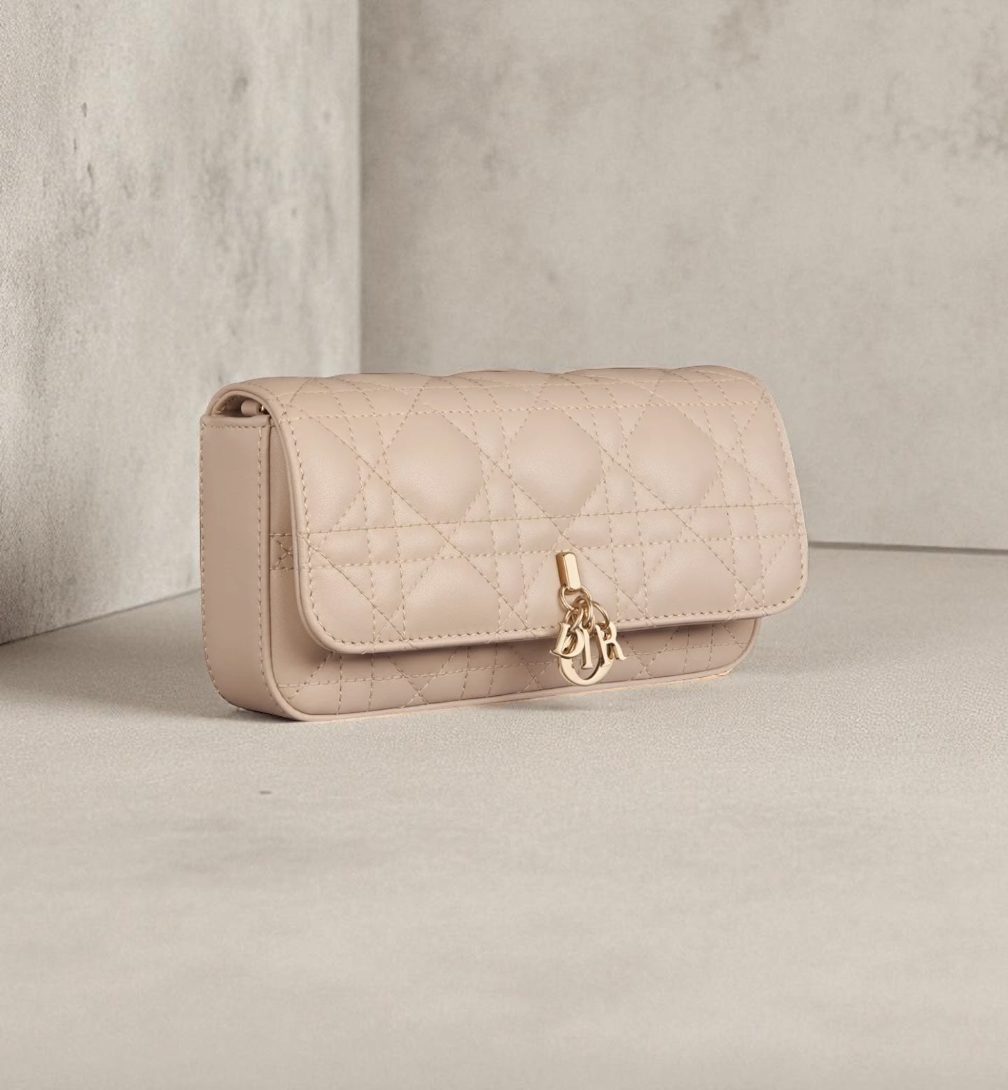 Dior Talk My Dior Pochette