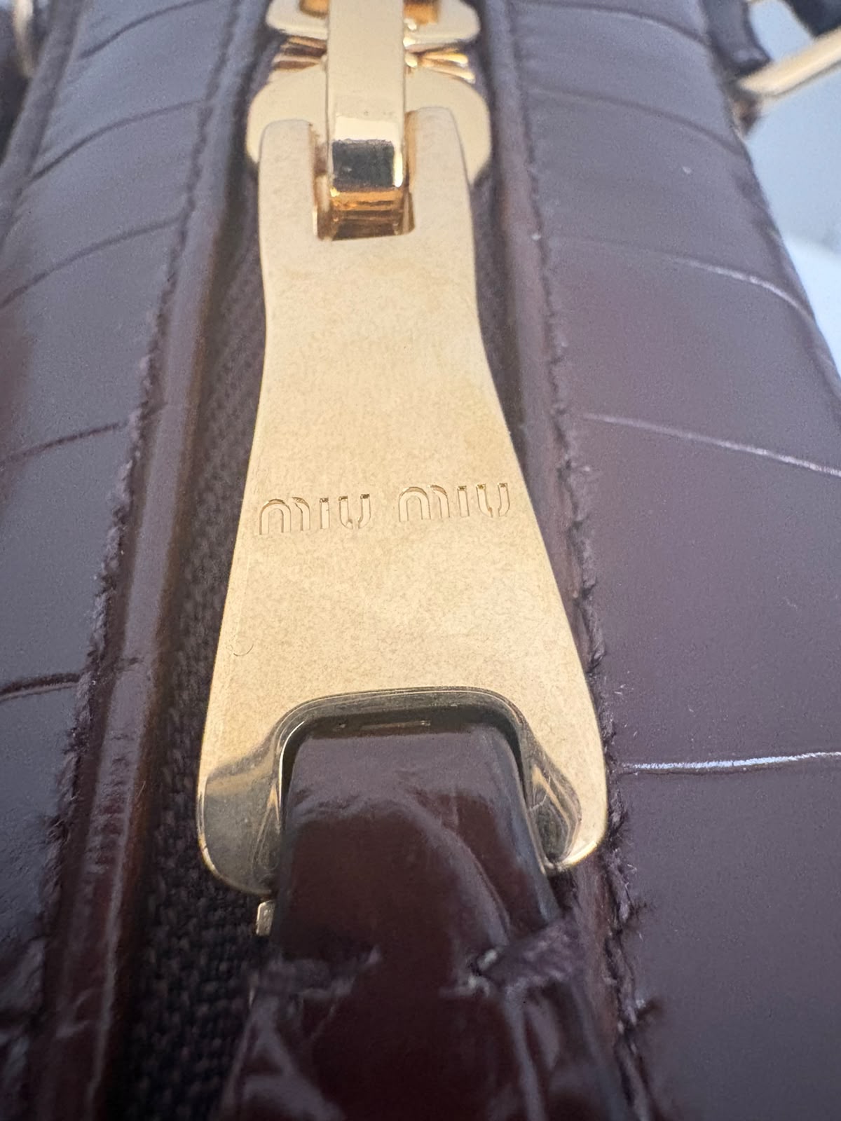 Miu Miu Arcadie marrone in cocco