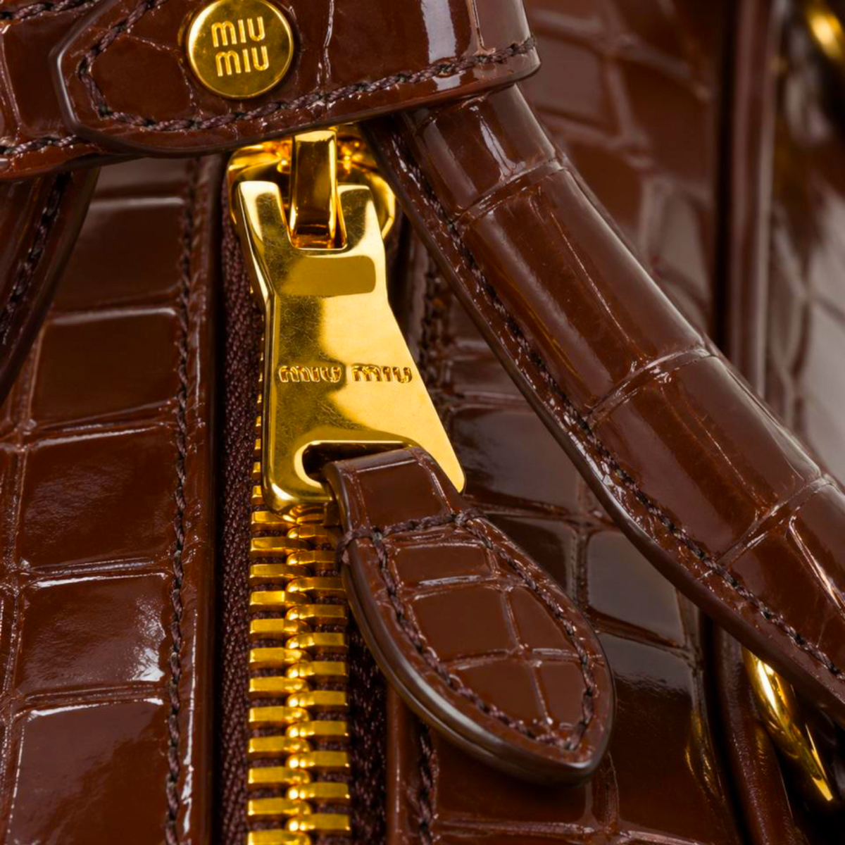 Miu Miu Arcadie marrone in cocco