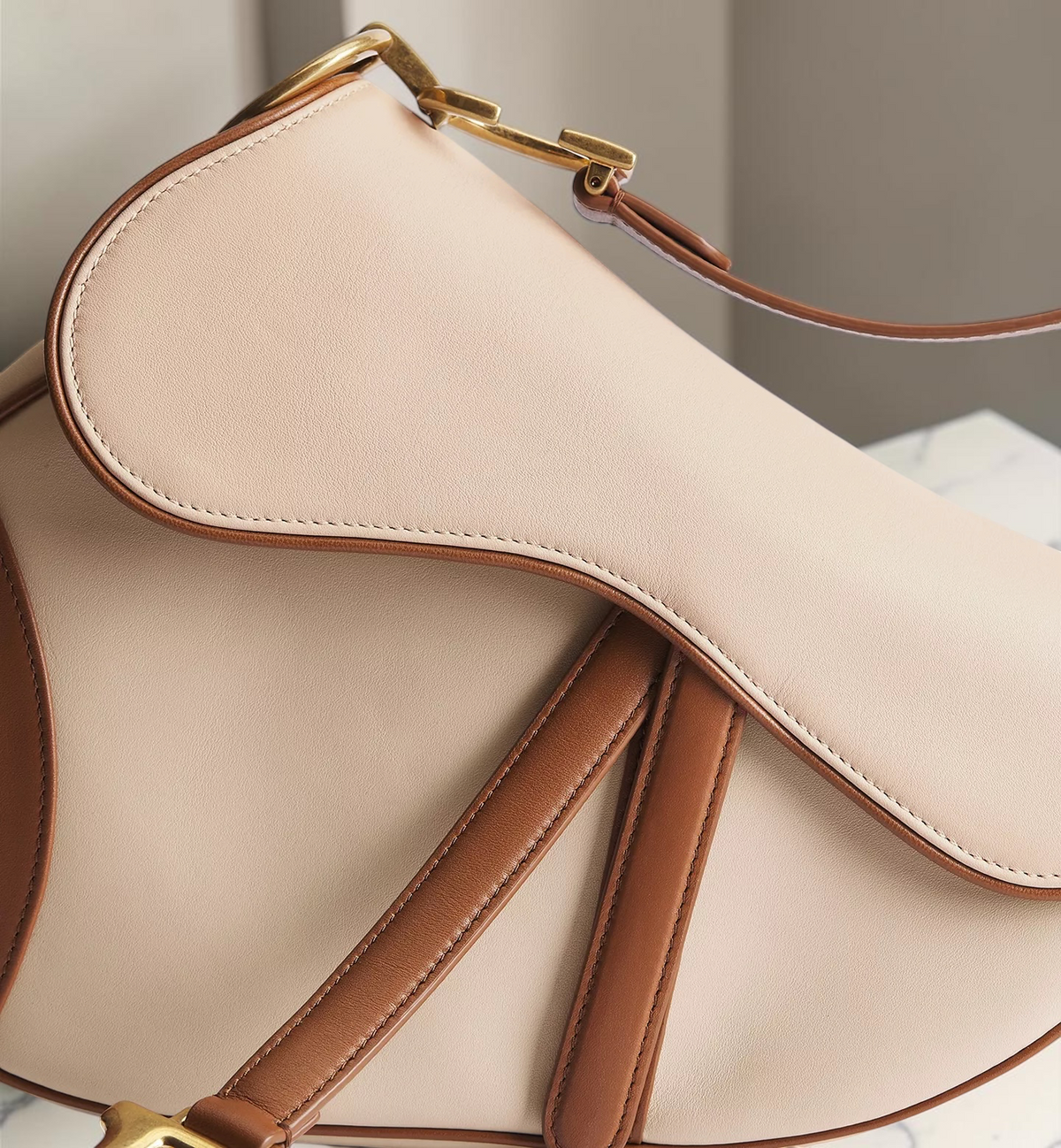 Dior Saddle Beige e Marrone