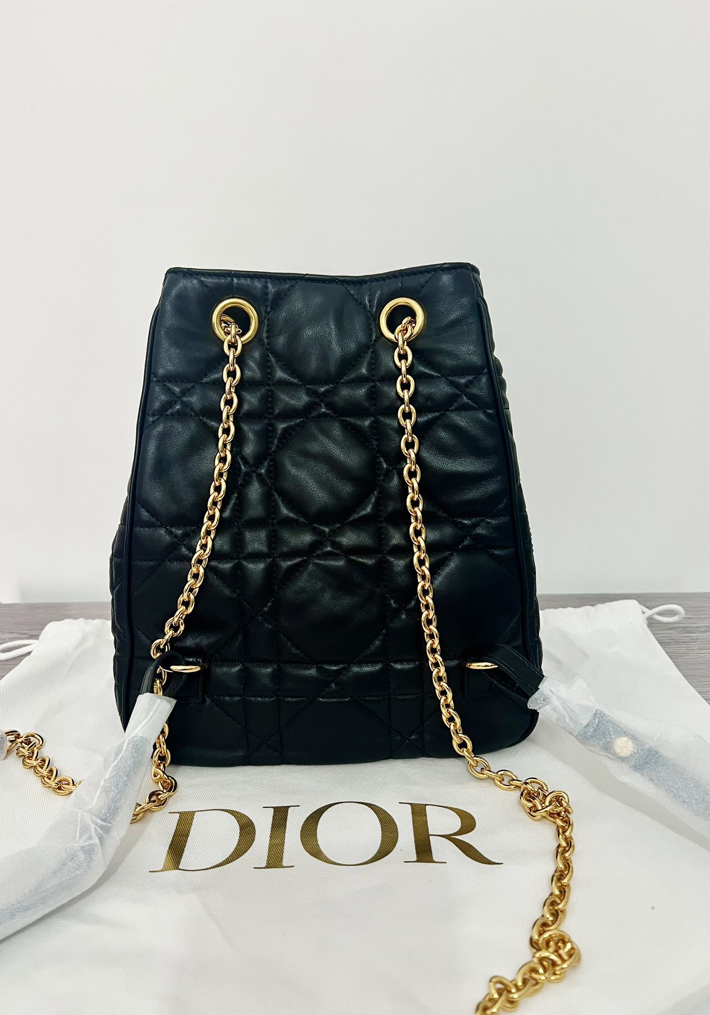 Dior Medium Caro Multicarry Backpack with Chain