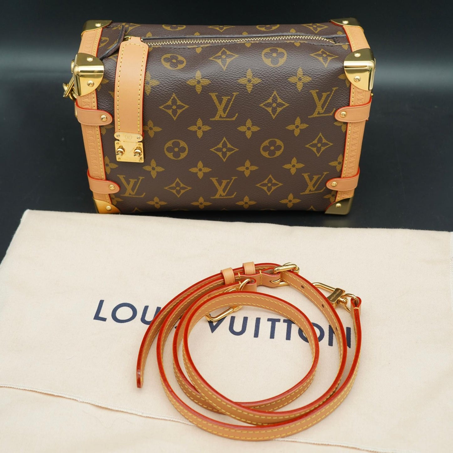 Louis Vuitton Trunk MM Monogram