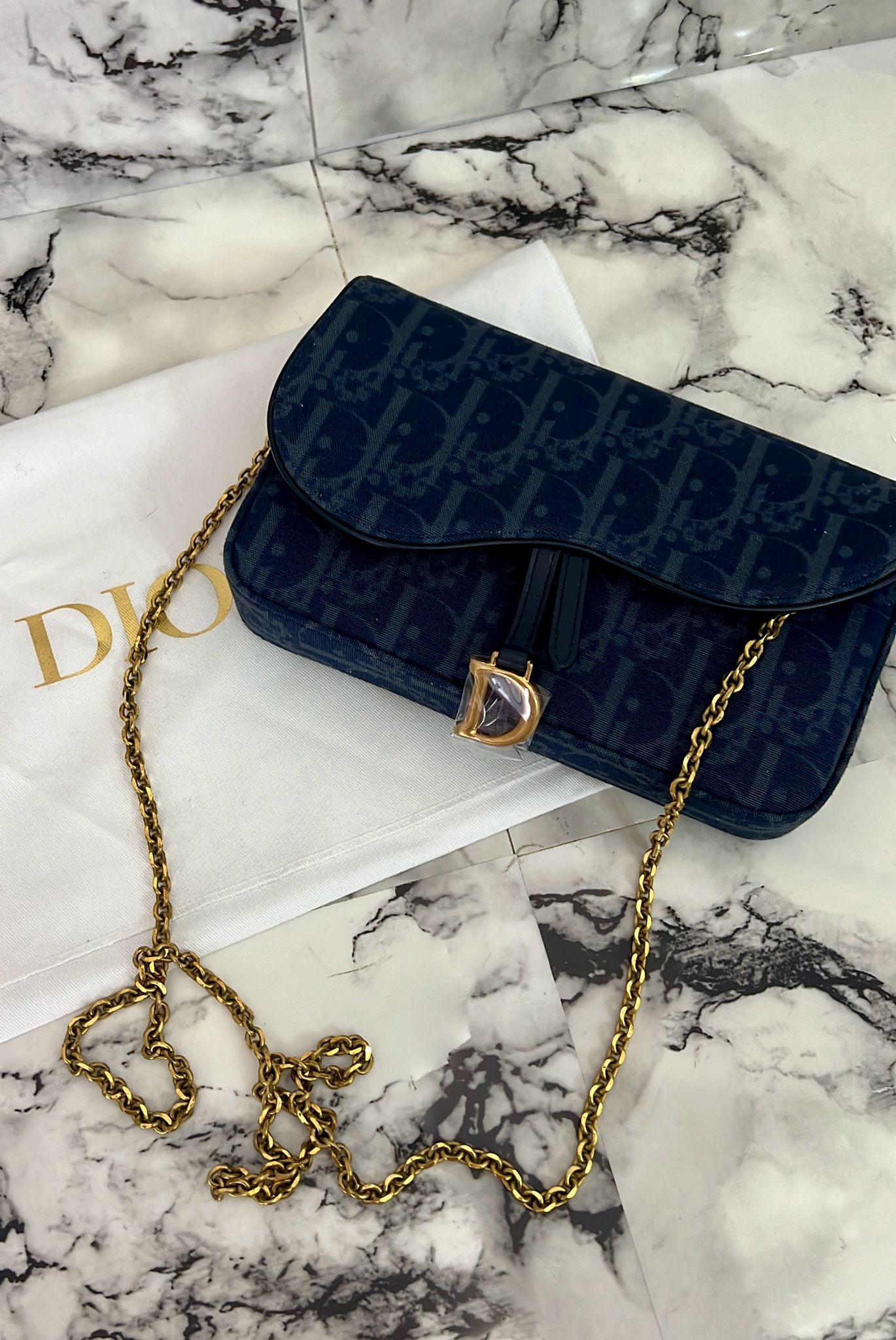 Dior pochette media con catena saddle Blu