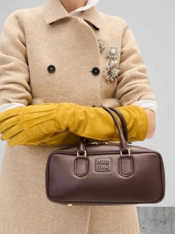 Miu Miu Arcadie Regular Bag in "Talco" Leather