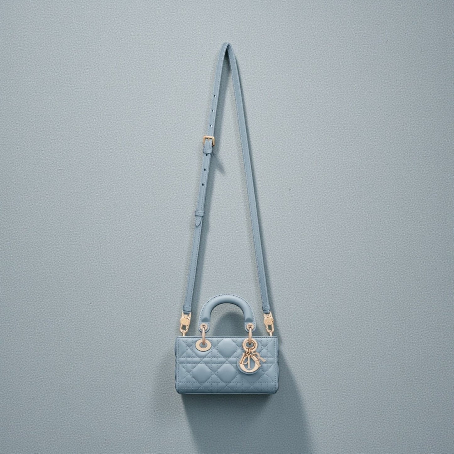 Dior Borsa Lady D-Joy Celeste