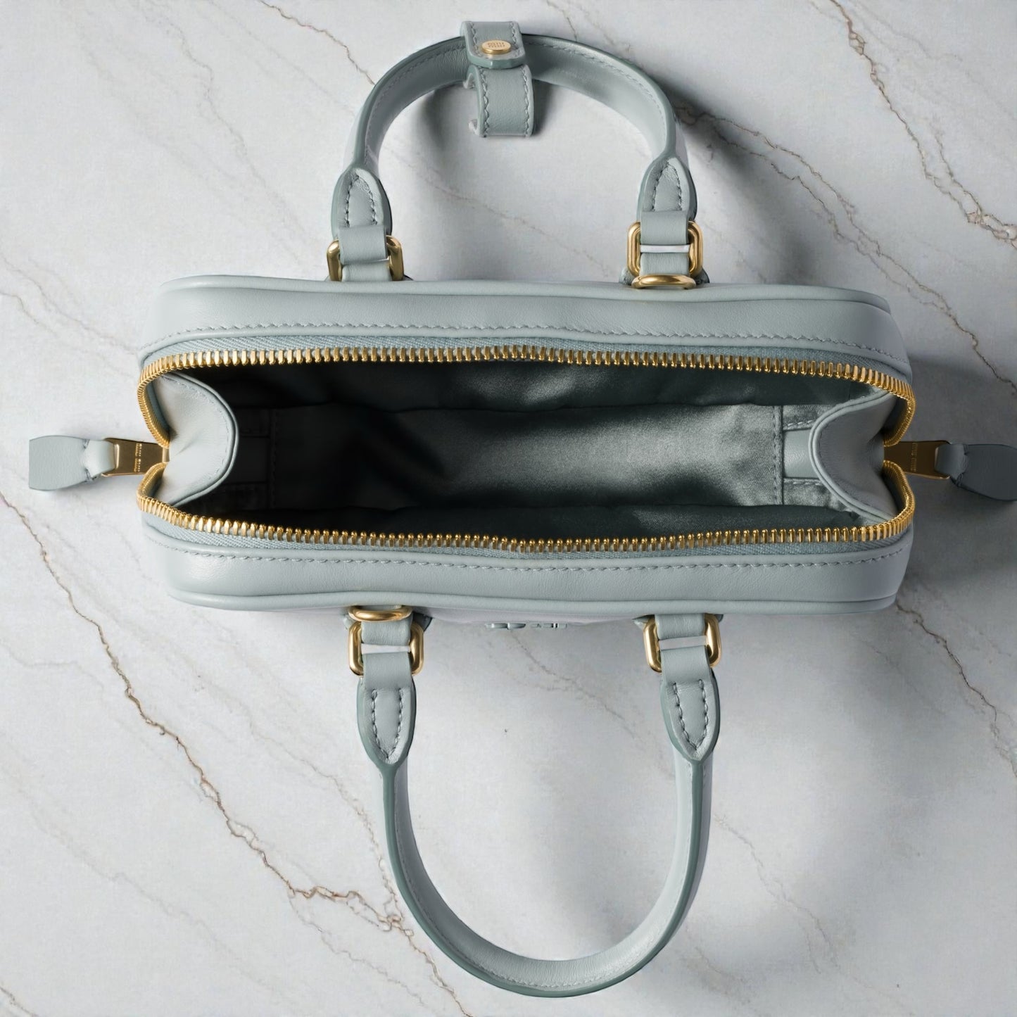 Miu Miu Arcadie Regular Bag in "Talco" Leather