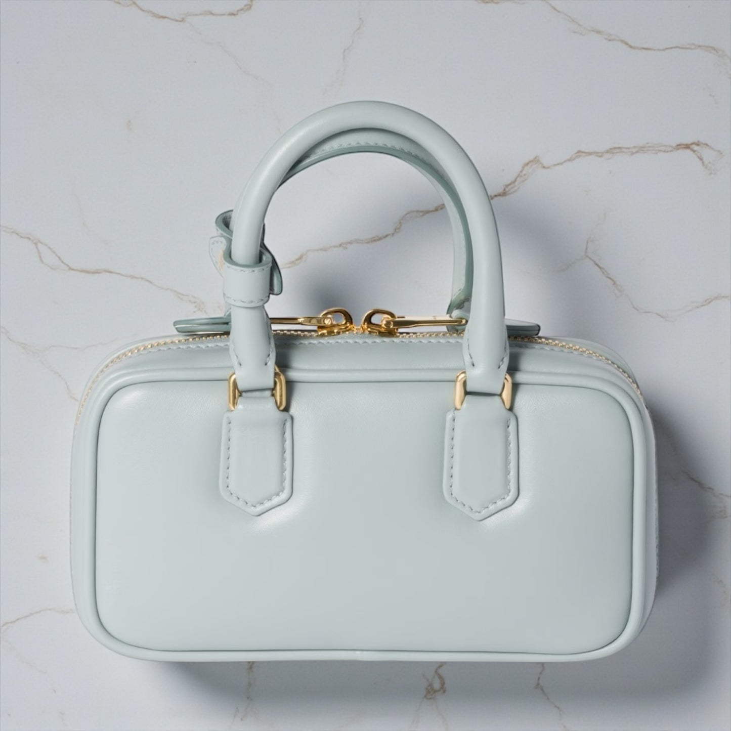 Miu Miu Arcadie Regular Bag in "Talco" Leather